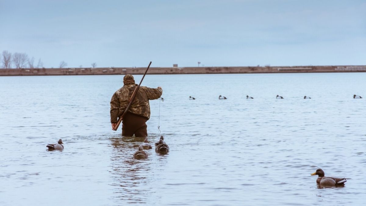 100 Types of Hunting in the USA