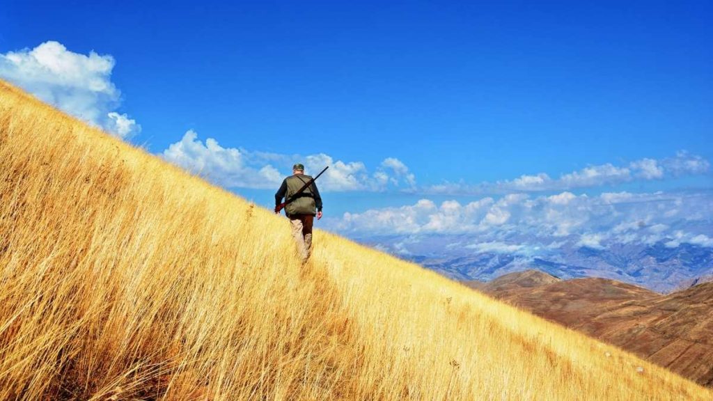 Pronghorn Hunting Seasons