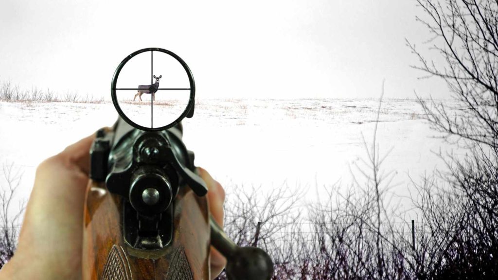6.5 PRC vs 6.5 Creedmoor Hunting