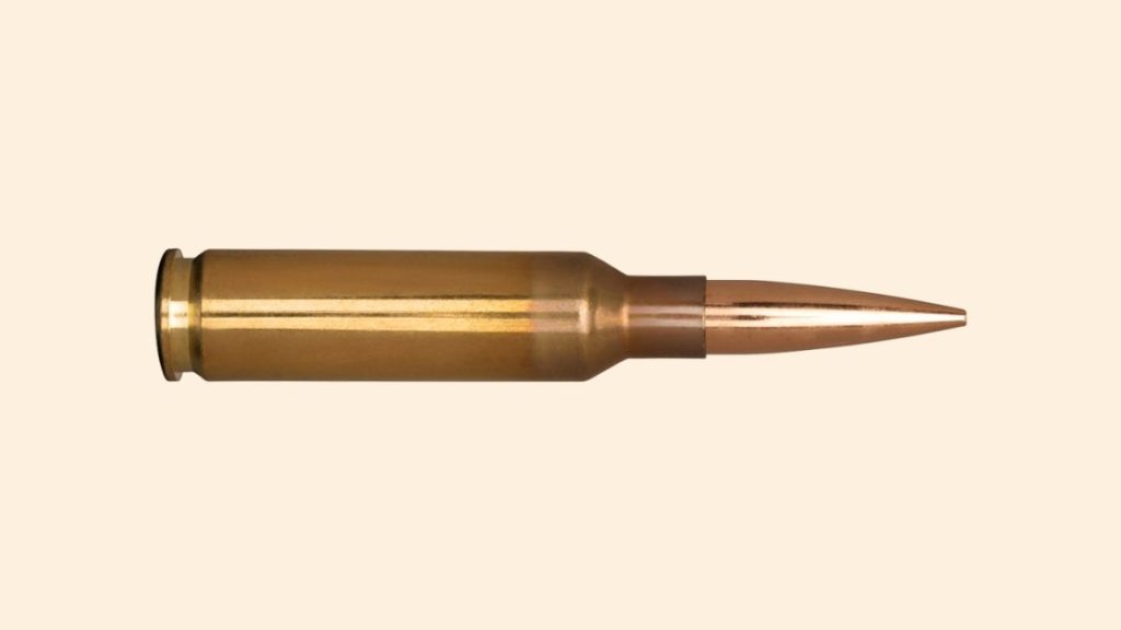 Why the 6.5 Creedmoor Stands Out