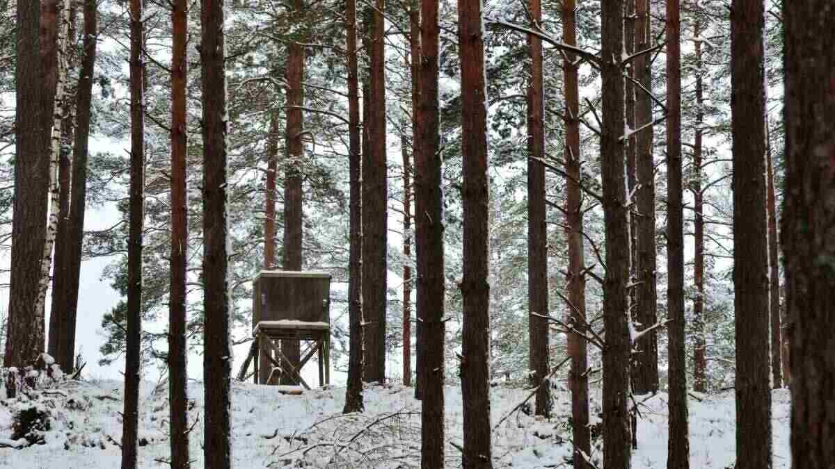 Crossbow Hunting in Different Weather Conditions