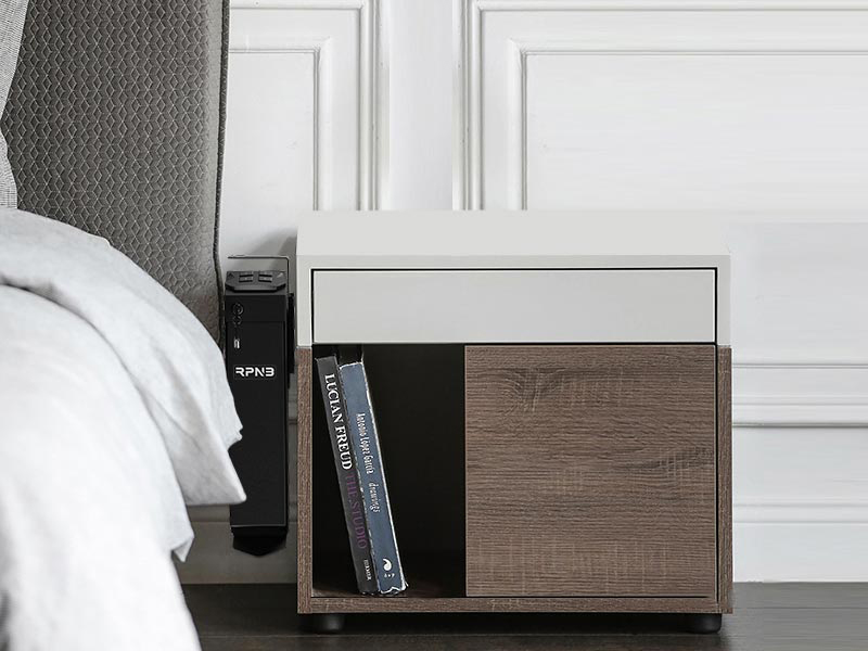 RPNB Biometric Gun Safe